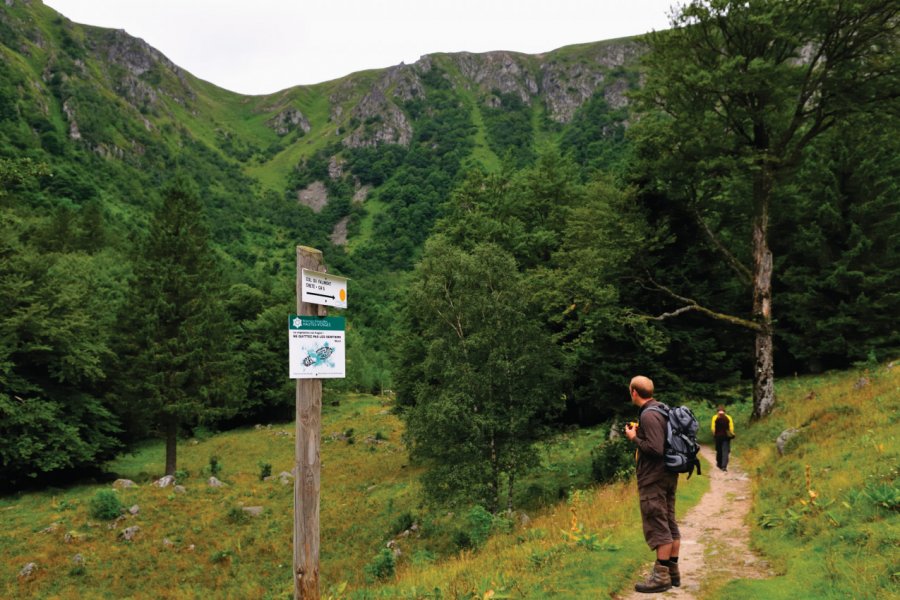 Randonnée dans les Hautes-Vosges. Sjoerd van der Wal - iStockphoto.com