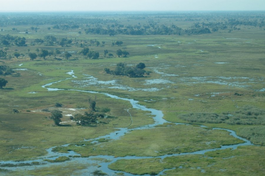 Vue aérienne du delta de l'Okavango. Marie Gousseff / Julien Marchais