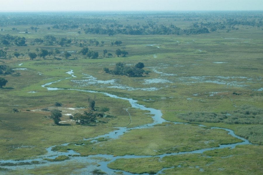 Vue aérienne du delta de l'Okavango. Marie Gousseff / Julien Marchais