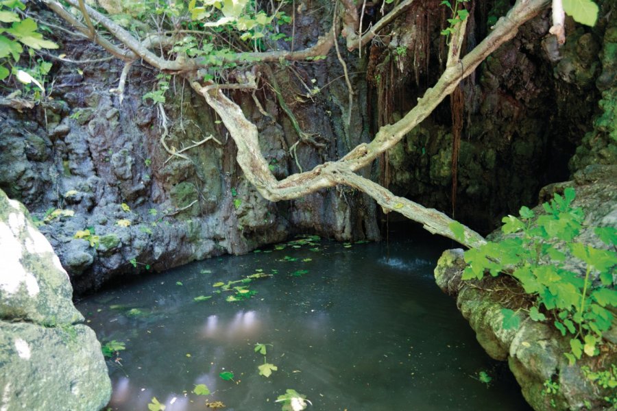 Bains d'Aphrodite. Julien HARDY - Author's Image