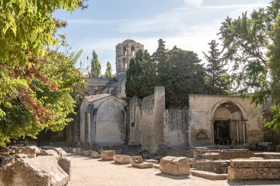 L'ancienne nécropole des Alyscamps. (© Leonid Sorokin - Shutterstock.com))