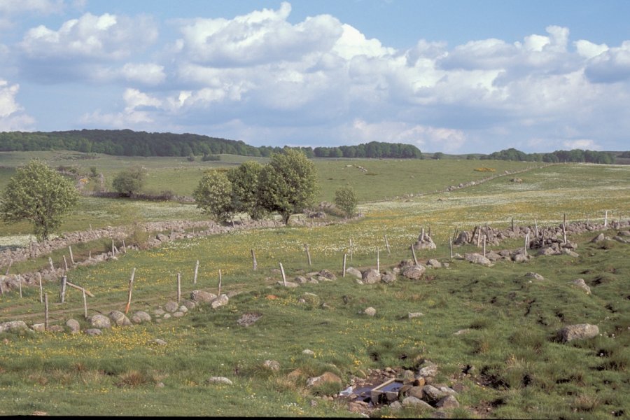 Paysage de l'Aubrac Alamer - Iconotec