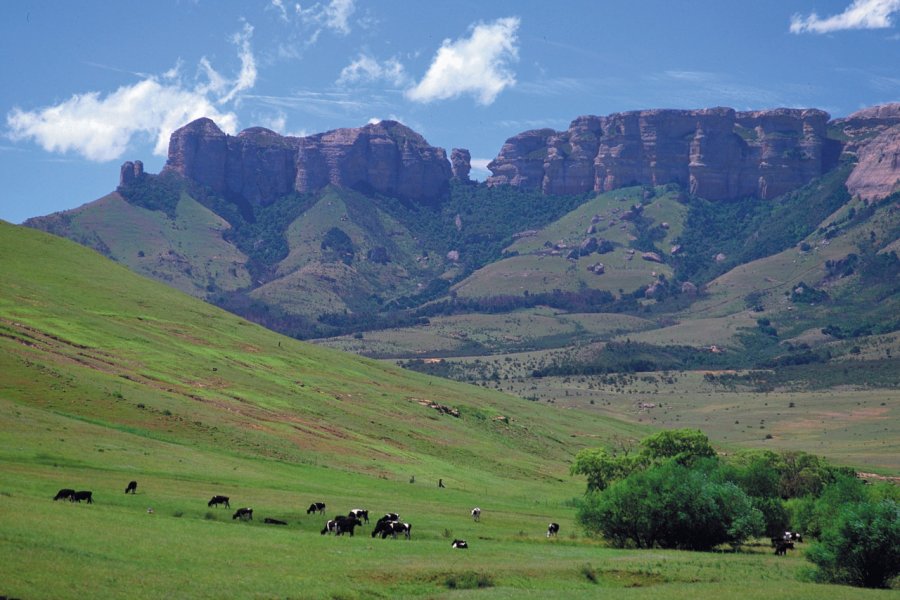 Ferme près de Bethlehem South African Tourism