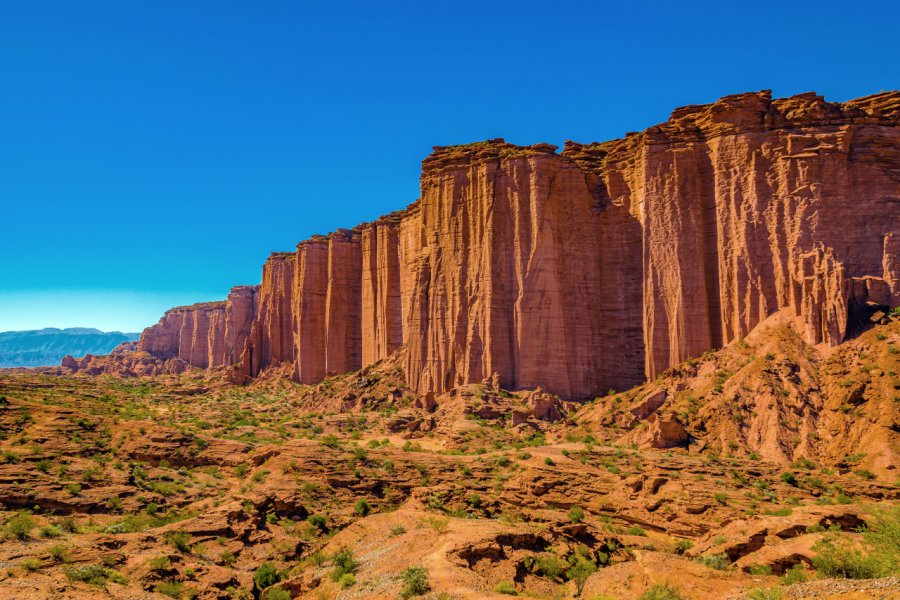 Parc national de Talampaya. DFLC Prints - Shutterstock.com