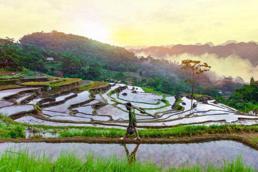 Réserve de Pu Luong. Big Pearl - Shutterstock.com