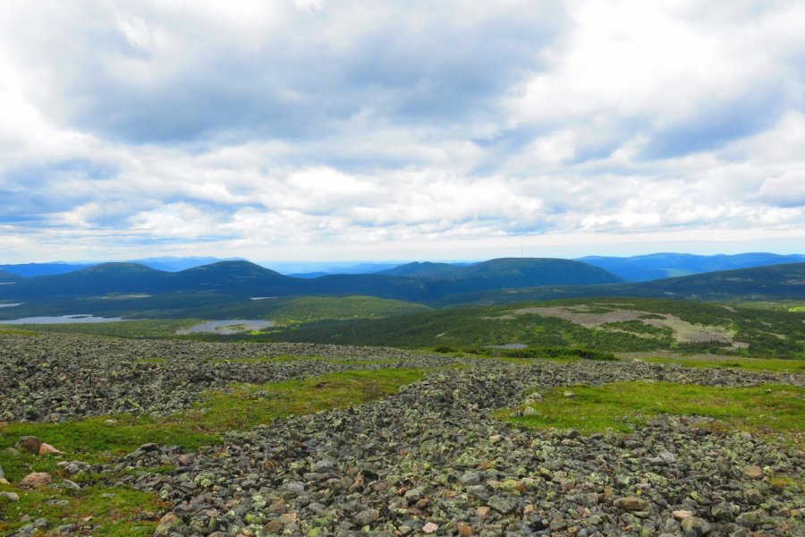 Parc national de la Gaspésie, Mont Jacques-Cartier. Ida JONCOUR