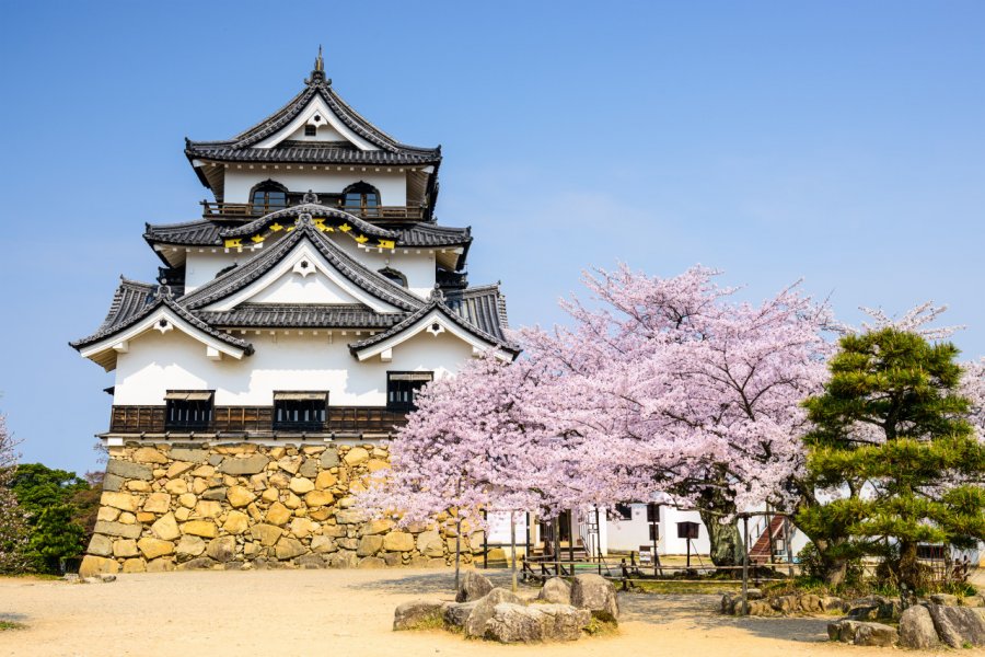 Le château de Hikone. shutterstock.com - Sean Pavone