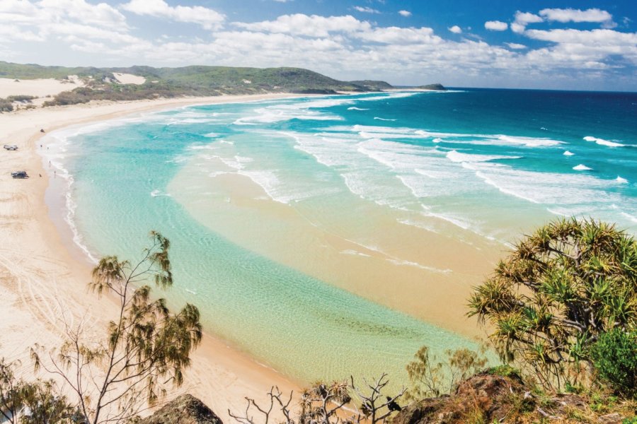 Plage de Fraser Island. bjuerges