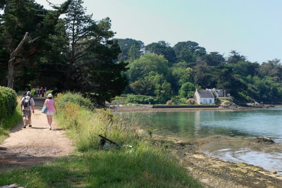 Sentier sur l'Île-aux-Moines. Richard Villalon - stock.adobe.com