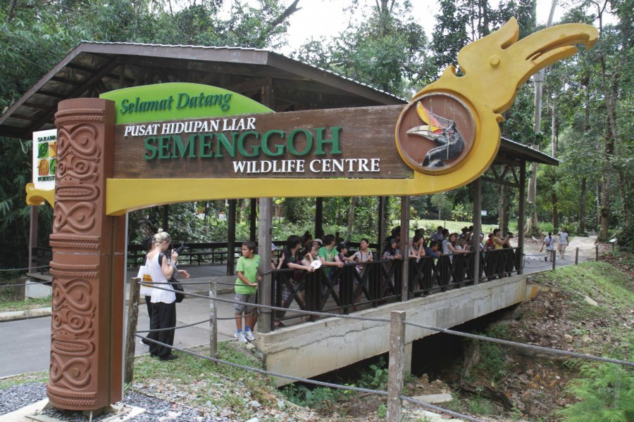 Centre de réhabilitation des orangs outans de Sepilok Stéphan SZEREMETA