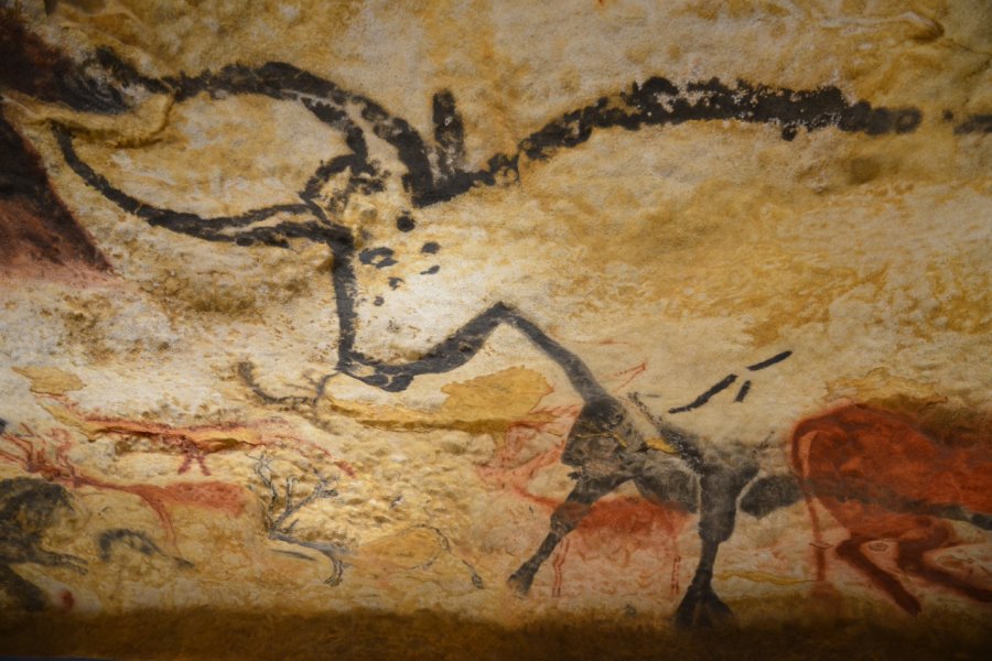 Représentation d'un taureau dans le grottes de Lascaux. Charbonnier Thierry - Shutterstock.com