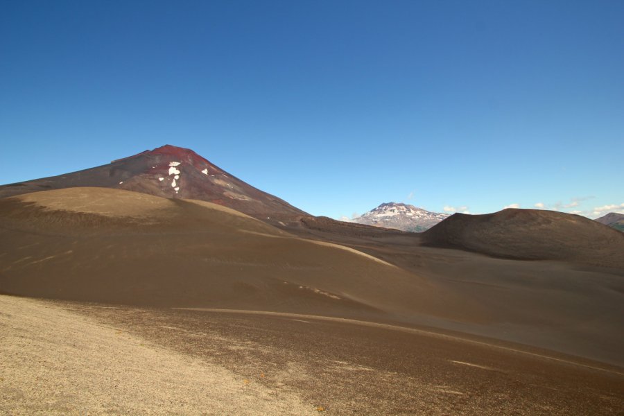 Les volcans Lonquimay et Tolhuaca, dans le parc national Malalcahuello and Nalcas. Toniflap / Shutterstock.com