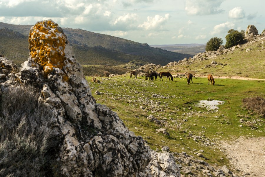 <i>Bandits à Orgosolo </i>a été tourné dans les alentours d'Orgosolo. Alessio Orru - Shutterstock.com