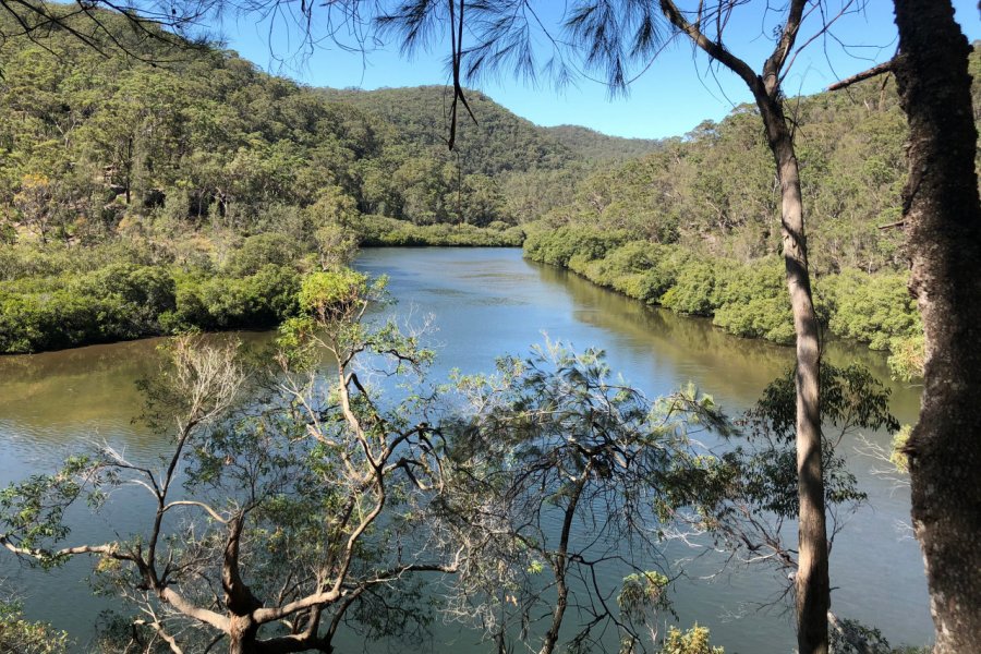 Ku-Ring-Gai national park. RandomPhotoHouse - Shutterstock.com