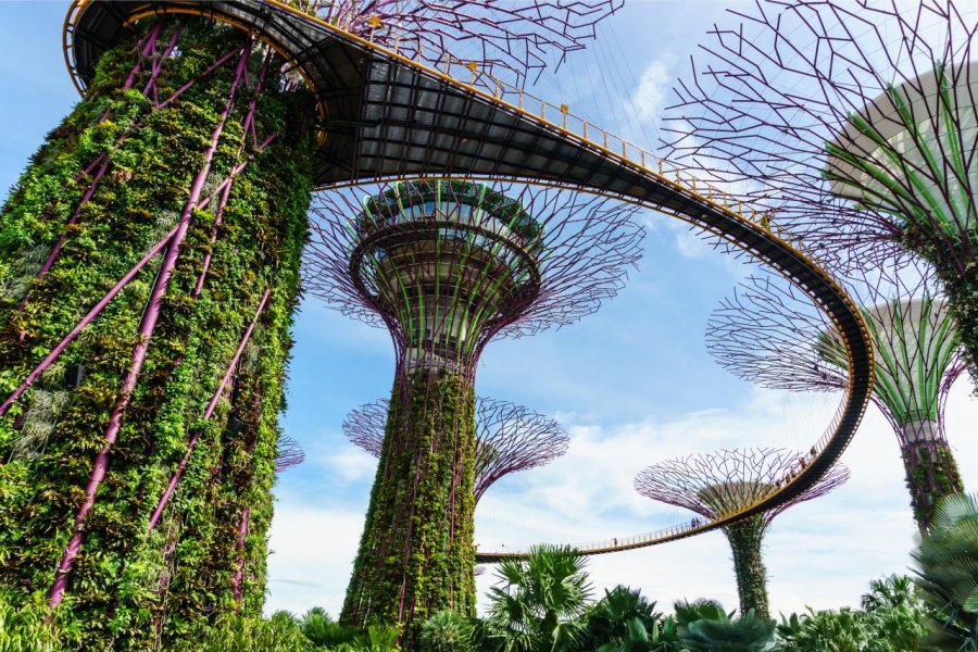 Les arbres métalliques de Garden by the Bay. Winnieapple - Shutterstock.com