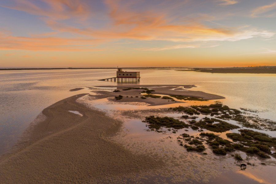 Parc naturel de la Ria Formosa. Carlos Neto - Shutterstock.com