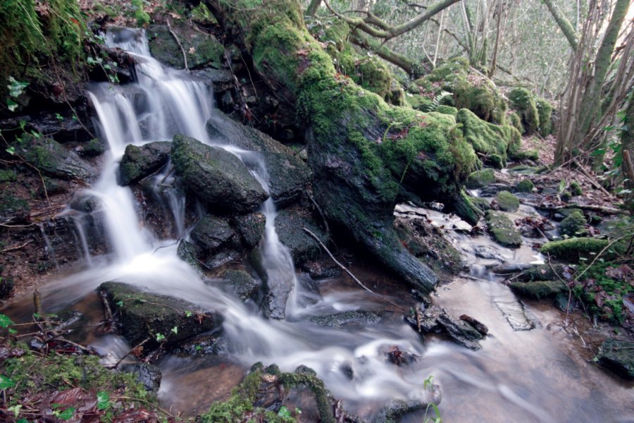 Cascade de la forêt de Brocéliande. Galam - Fotolia