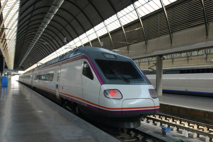 Estación Santa Justa, la gare ferroviaire de Séville. grahamheywood - iStockphoto.com