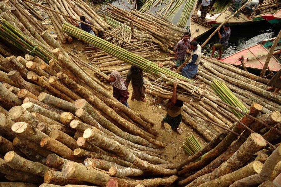 Déchargement de bambous. Astrid LATAPIE