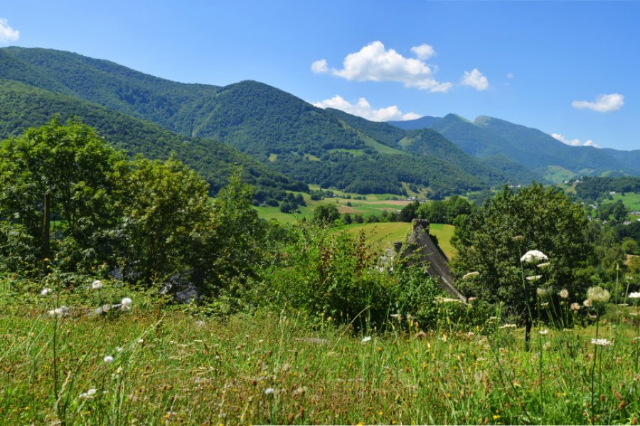 Les Baronnies ont en partie servi de décor au film de Christophe Gans, Le Pacte des Loups. Sinuswelle - stock.adobe.com