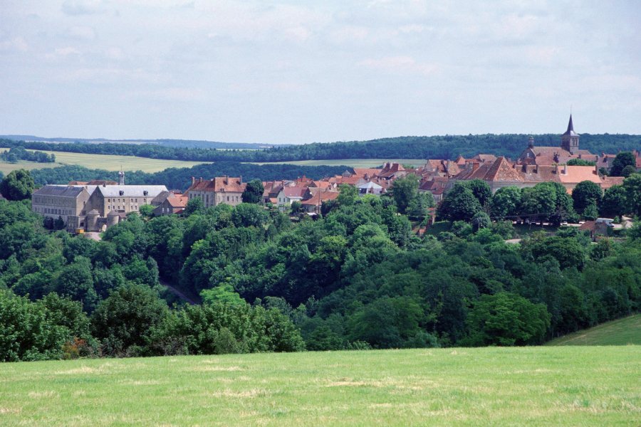 Vue générale de Flavigny-sur-Ozerain PHOVOIR