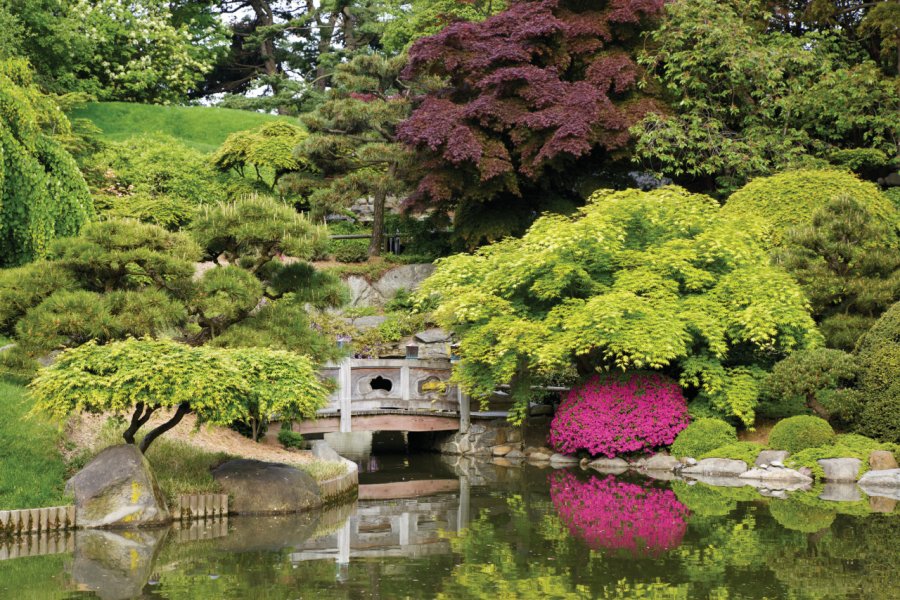 Jardin botanique de Brooklyn. Beklaus - iStockphoto