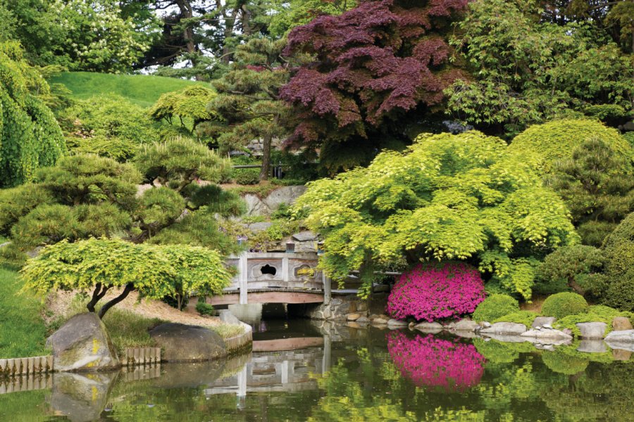 Jardin botanique de Brooklyn. Beklaus - iStockphoto