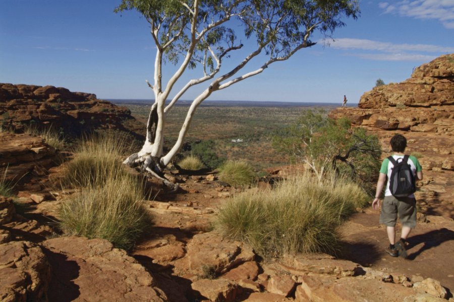 Watarrka National Park. Tourism Northern Territory / Steve Strike