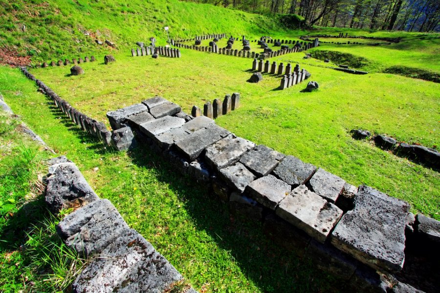 Vestiges de la cité antique de Sarmizegetusa Regia. Mikadun - Shutterstock.com