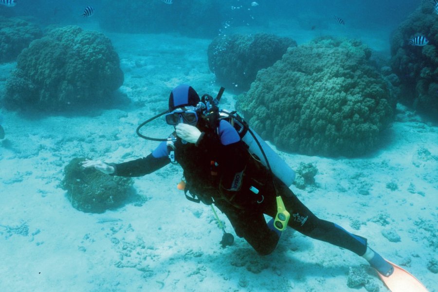 Plongée dans la réserve de Phare Amédée. (© Author's Image))