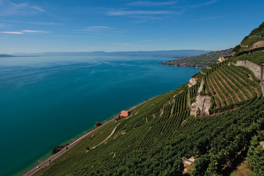 Les vignobles en terrasses de Lavaux proche des villages d'Epesses et du Dézaley. Philippe GUERSAN - Author's Image