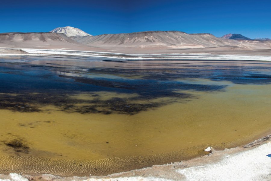 Paysages de la région de Copiapó Arnaud BONNEFOY