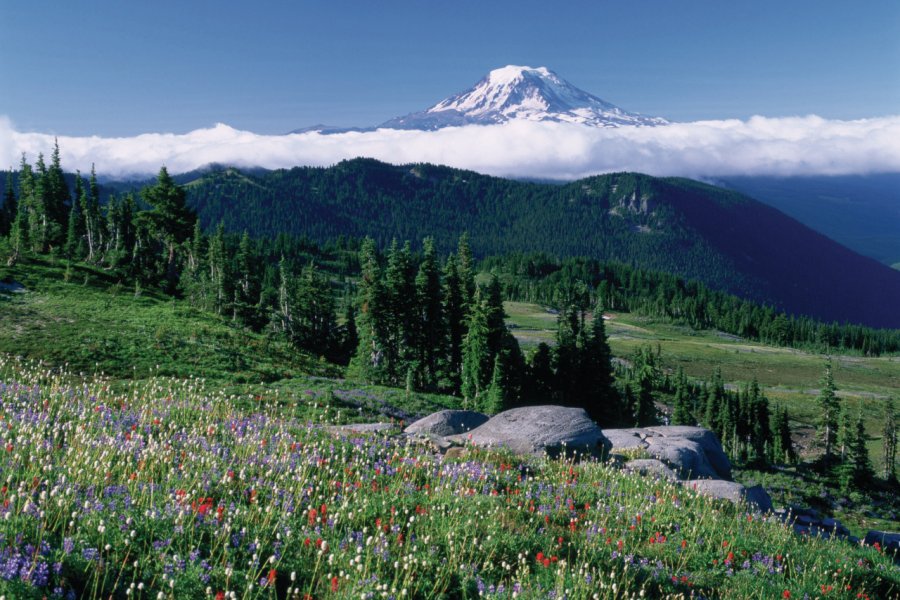 Mount Rainier. Photo provided by Washington State Tourism / John Marshall