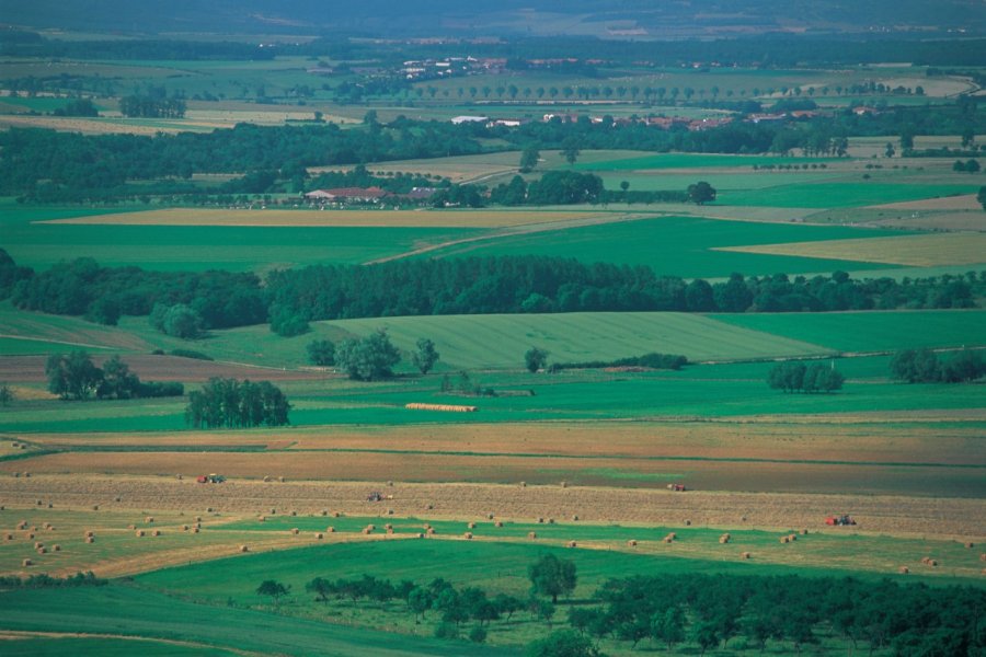 La campagne meusienne S. NICOLAS - ICONOTEC