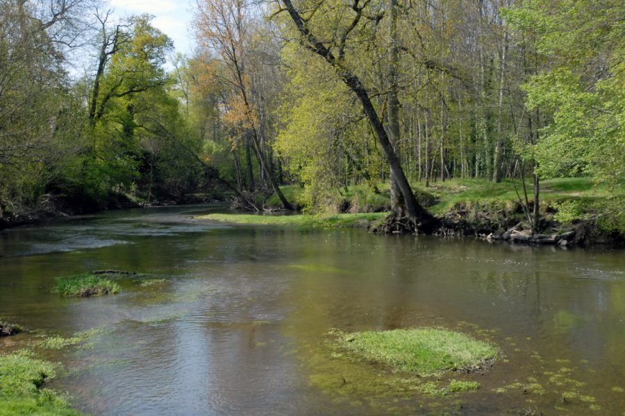 La Sauldre près de Salbris en Sologne. Philippe Prudhomme - stock.adobe.com