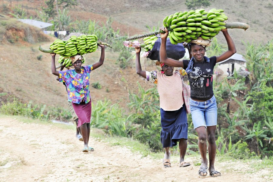 Retour de marché, dans les environs de Petit-Goâve. glenda - Shutterstock.com