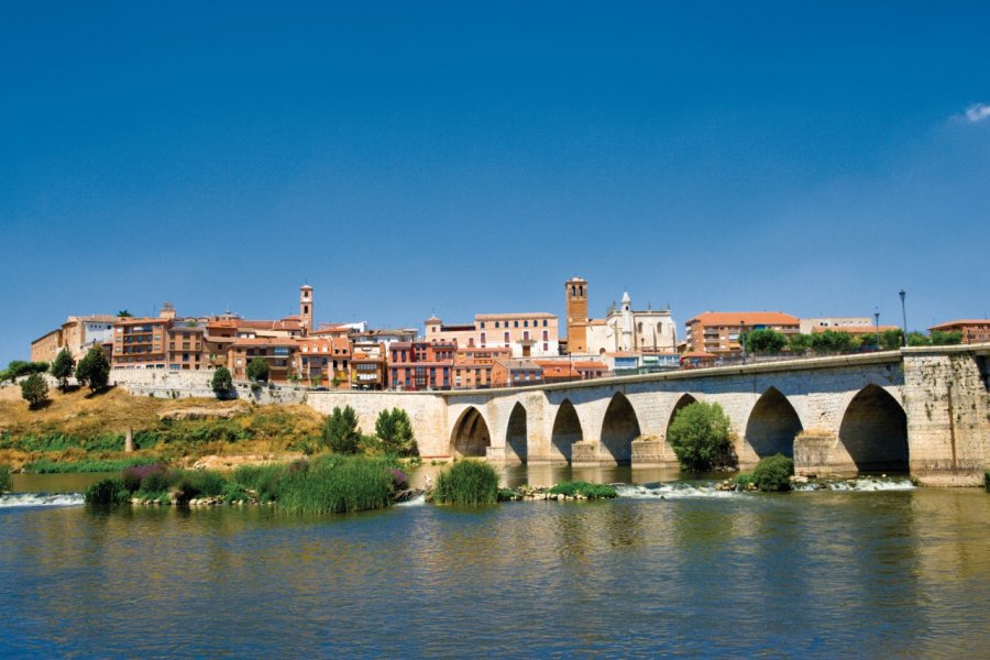 Pont médiéval et cité de Tordesillas. Author's image