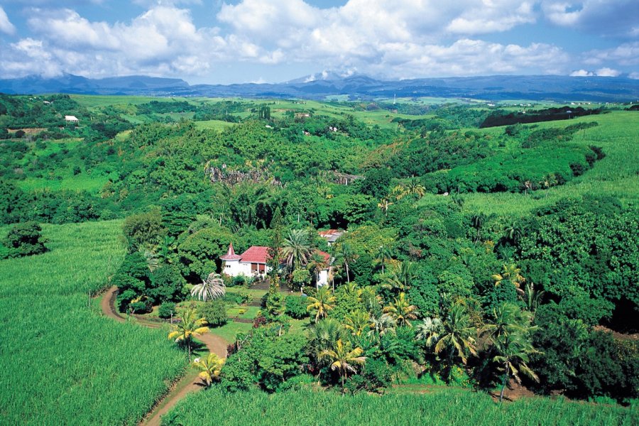 Plantation de canne à sucre à Sainte-Suzanne. Atamu RAHI - Iconotec