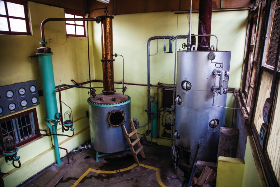 Distillerie artisanale du pisco Los Nichos Arnaud BONNEFOY
