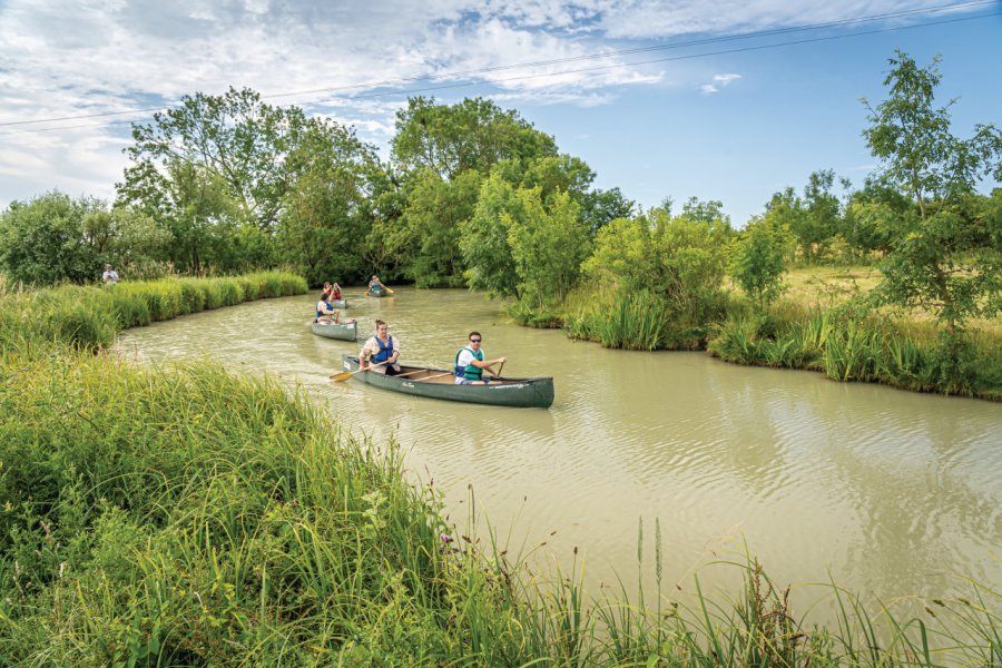 Balade en canoë dans le marais breton-vendéen. Stéphane Grossin