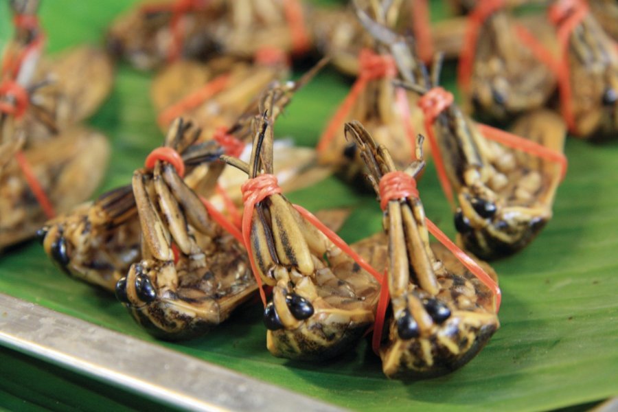 Insectes ficelés et croquants sous la dent, au marché de Thung Kwian. Jérôme BOUCHAUD