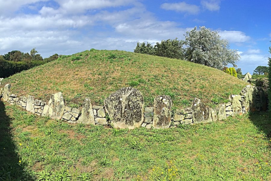 Dolmen de Déhus. ian driscoll - Shutterstock.com