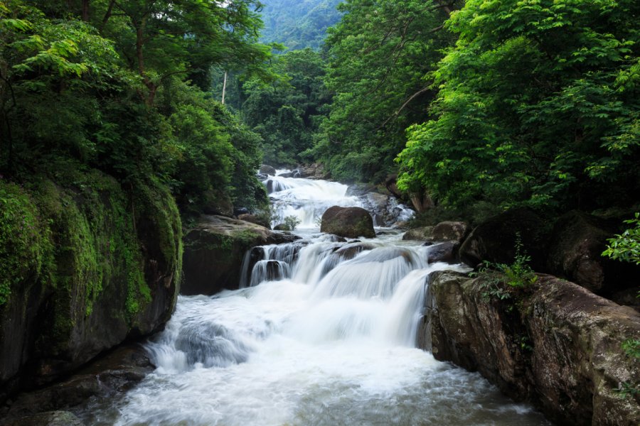 Cascade de Nang Rong dans le parc national de Khao Yai. Casper1774 Studio - Shutterstock.com