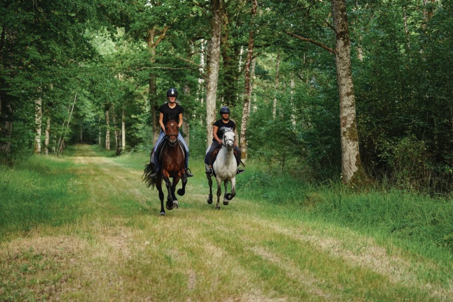 Balade à cheval en forêt à Dracy-Saint-Loup. Office du Grand Autunois Morvan - Aurélie Stapf, photographe (porteurdesonge.com)