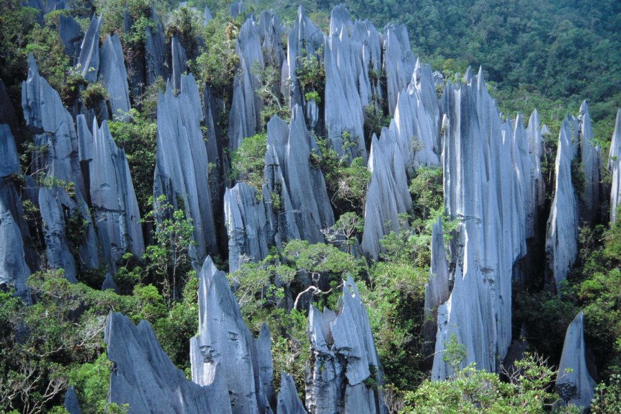 Parc national de Gunung Mulu, pinacles de calcaire Tourism Malaysia