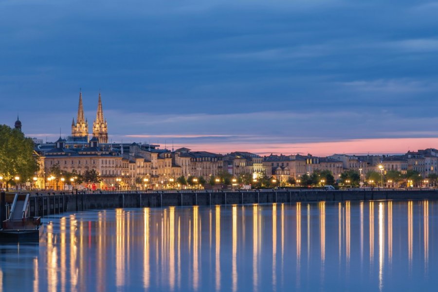 Panorama des quais de Bordeaux. Leonid Andronov - iStockphoto