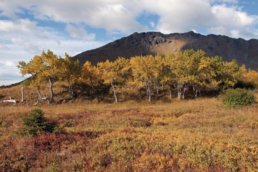 Paysage du Chugach State Park. Alaska_icons - iStockphoto.com