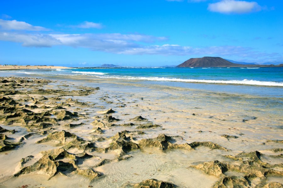 Plage de Corralejo. Janina Dierks - AdobeStock.com