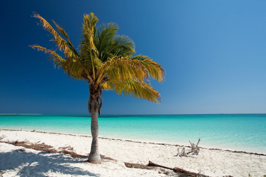 Playa de Cayo Largo. Palino666 - Fotolia