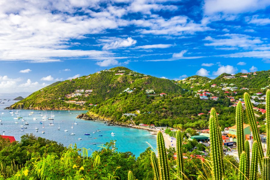 Vue sur Public depuis le réduit. Sean Pavone - Shutterstock.com